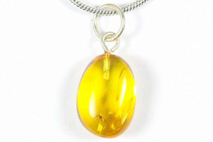 Polished Baltic Amber Pendant (Necklace) - Contains Wasp! #369028